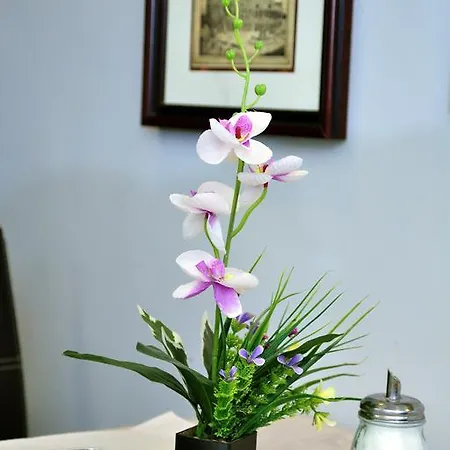 Penzion La Luna Romana Řím